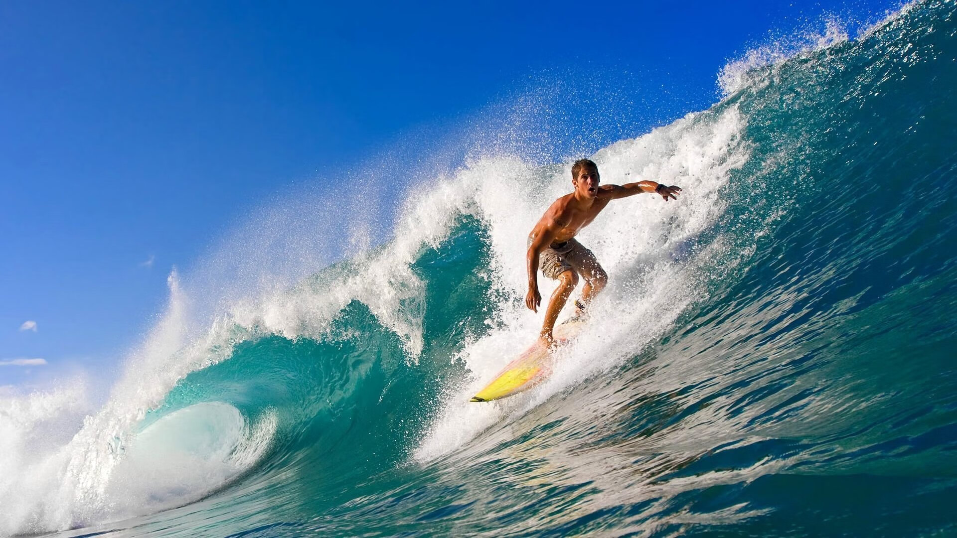 哈兰德主宰曼城，哈兰德是曼城球迷