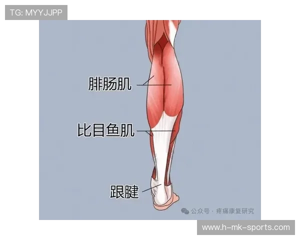 小腿腓肠肌与跟腱紧张的缓解动作